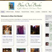 Blue Owl Books - Website Visitors and Analytics
