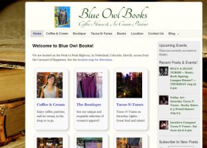 Blue Owl Books