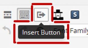 Button shortcode icon