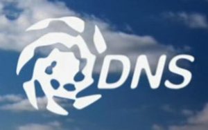 DNS-Logo_Die_Grenze