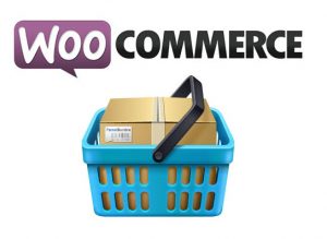 woocommerce customization
